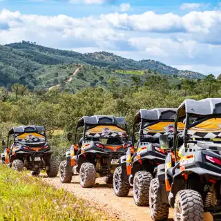 Atv sales buggy tours